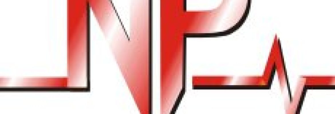 NP Electronics International