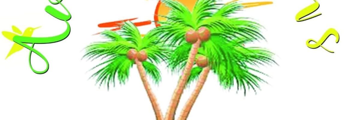 Avanti Tours & Travel