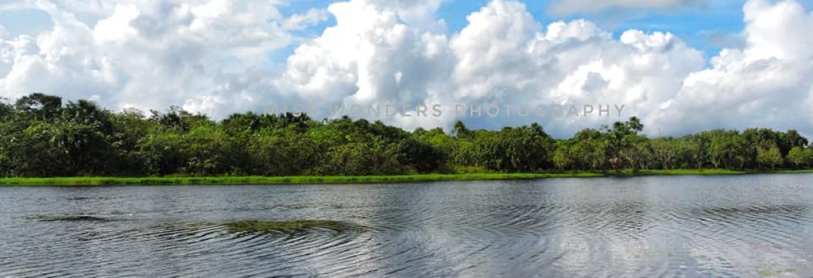 Miss wonders photography