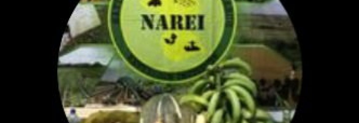 National Agricultural Research And Extension Institute