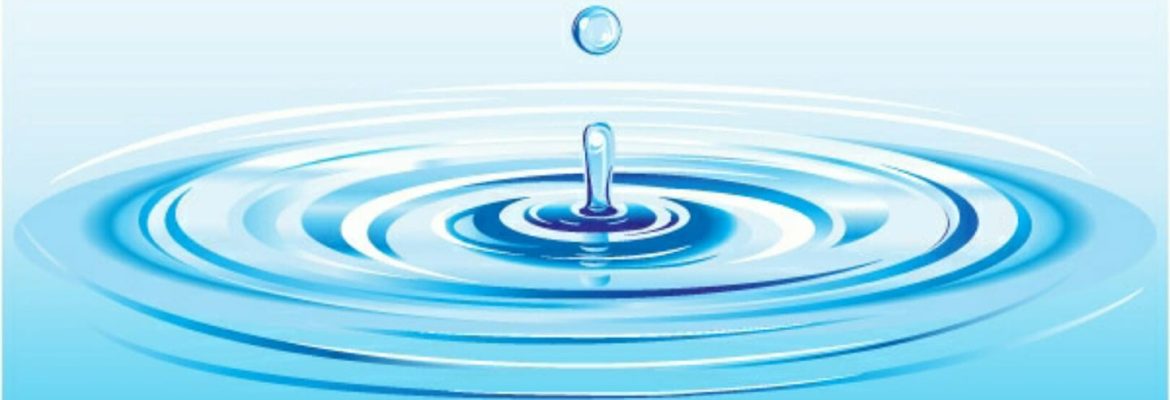 Guyana Water Inc. Region 6
