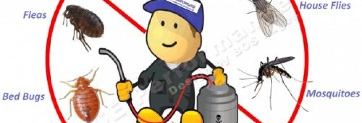 Pest Control Plus