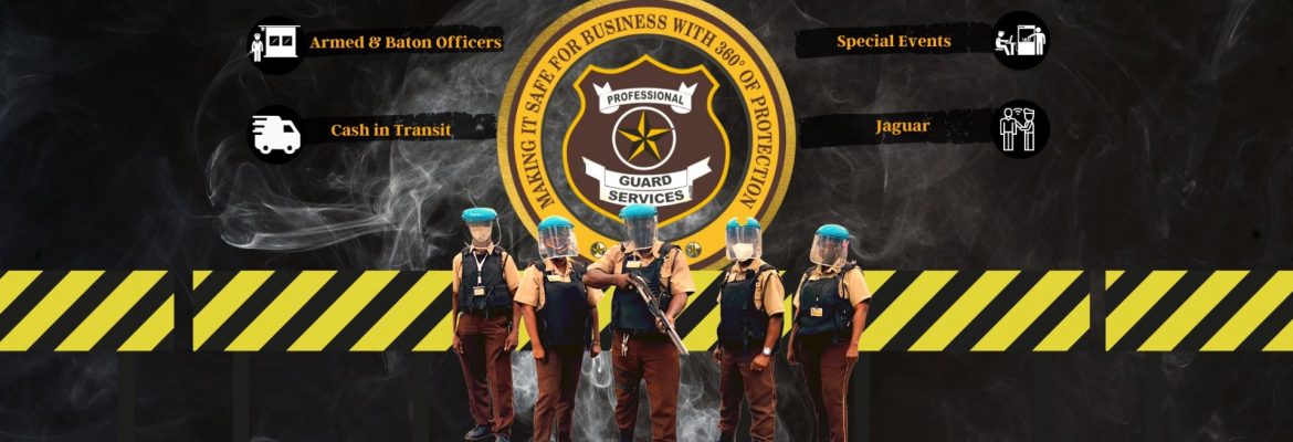 Professional Guard Services Inc