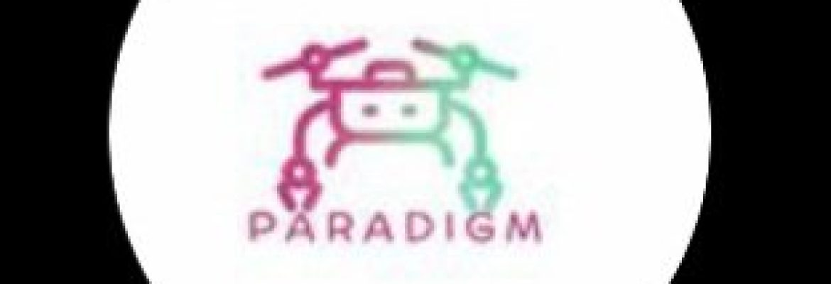 Paradigm Services