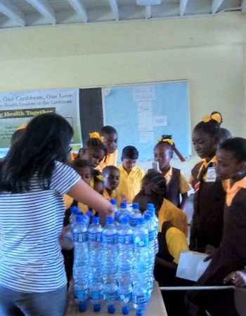 Guyana Environment Initiative