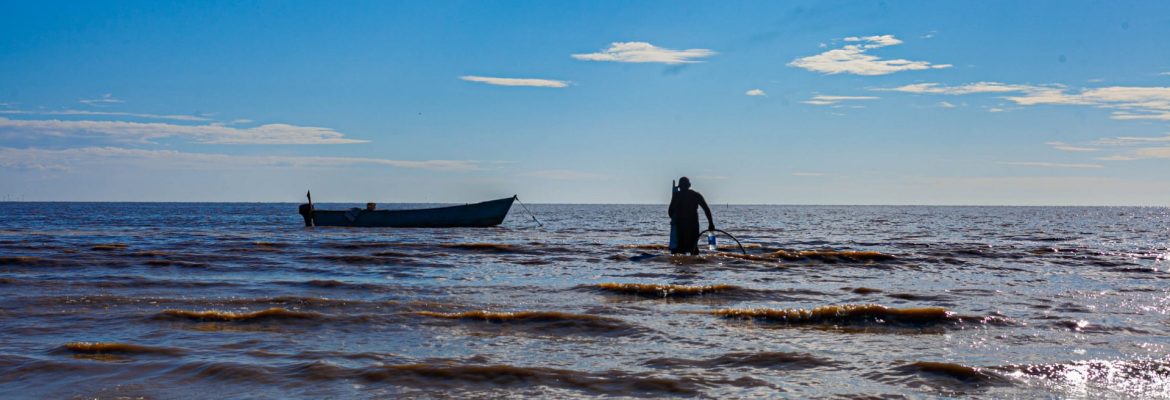 LionClan Photography