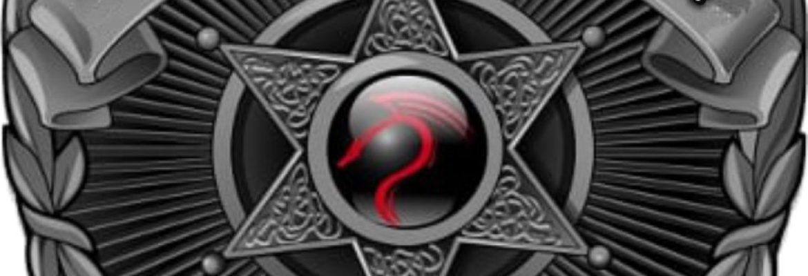 Vision International Security & Bodyguard Corp.