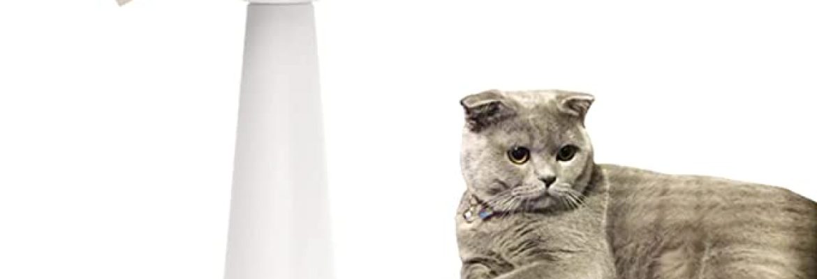 Cat brush