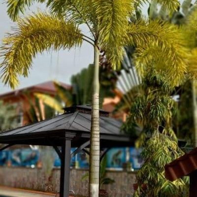 Palm Spring Hotel, Restaurant & Bar