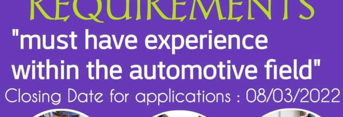 Body work Man / Auto Technician